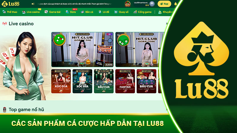 lu88-mang-den-san-choi-chuyen-nghiep